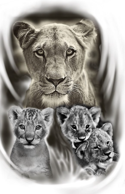 100+ Best Queen Lioness and Cub Tattoo Ideas that Will Amaze Your Mind